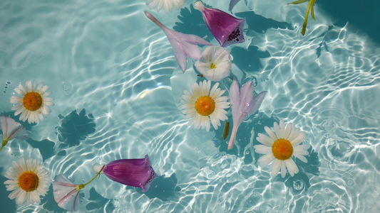 fresh flowers floating in water representing floral water hydrosol benefits for natural skincare routine